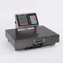 Ваги товарні бездротові Matarix MX-440W 300 кг (Wi-Fi з'єднання)