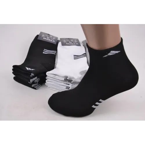 Шкарпетки чоловічі ХЛОПОК 27-29 | 12 пар