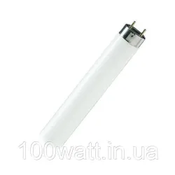Лампа люмінесцентна Osram L18w/10-765 G13 T8 2020 рік