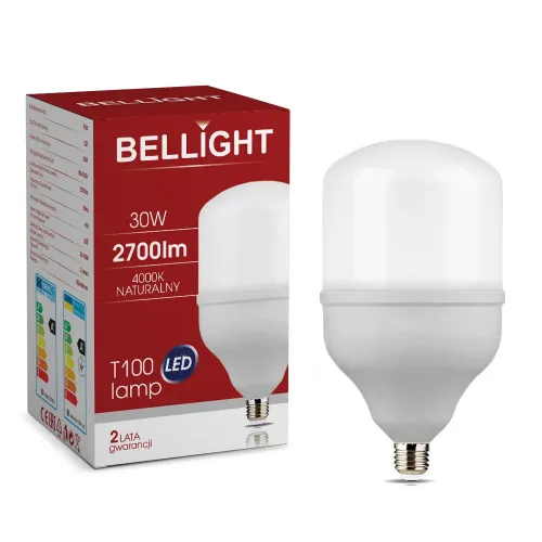 Лампа світлодіодна LED T100 220V/30W 4000K