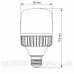 LED лампа VIDEX A80 30W E27 5000K