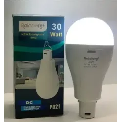 Лампа на акумуляторі з гачком 30 Вт, Rainberg P921