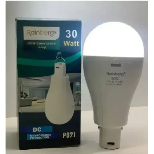 Лампа на акумуляторі з гачком 30 Вт, Rainberg P921