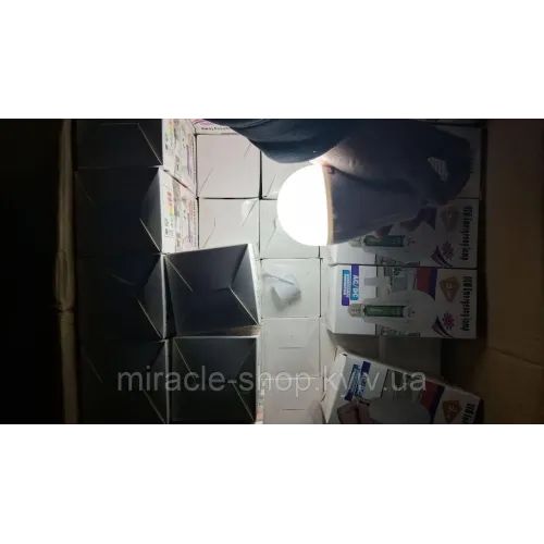 Аварійна лампочка 20 Вт E27 знімними 2 акумуляторами Лампи акумуляторні з цоколем